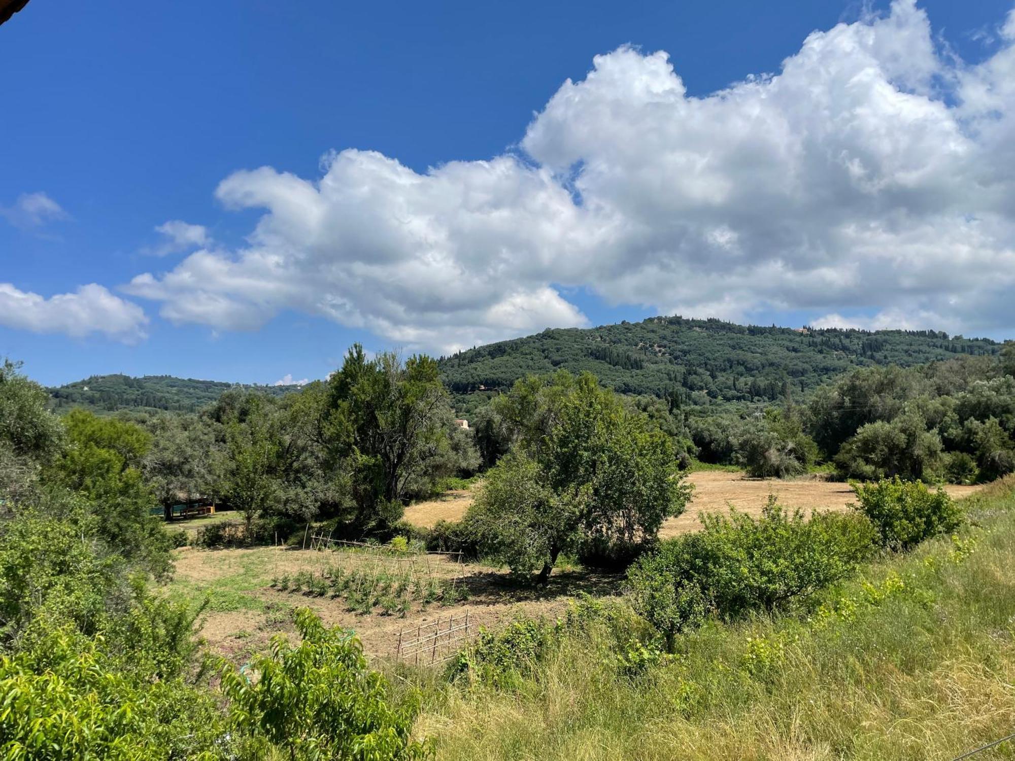 Villa Katerina Agios Georgios Pagon Camera foto